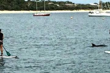 a group of people rowing a boat in a body of water